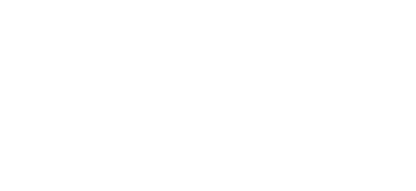 LOGO PORTO